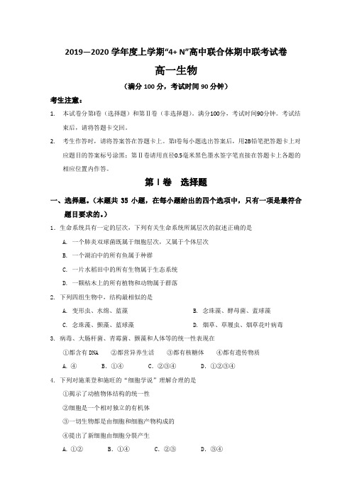 广西南宁马山县金伦中学4+N高中联合体2019-2020学年高一上学期期中考试生物试题 Word版含答案