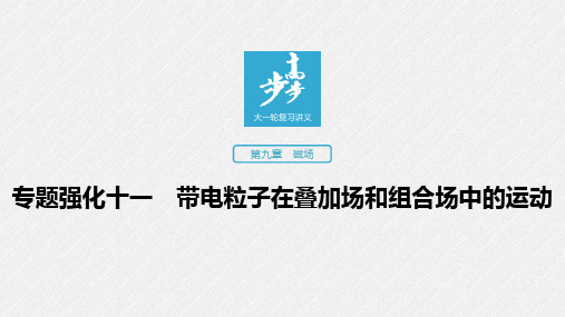 高2020届高2017级高中物理步步高一轮复习学案配套课件第九章专题强化十一