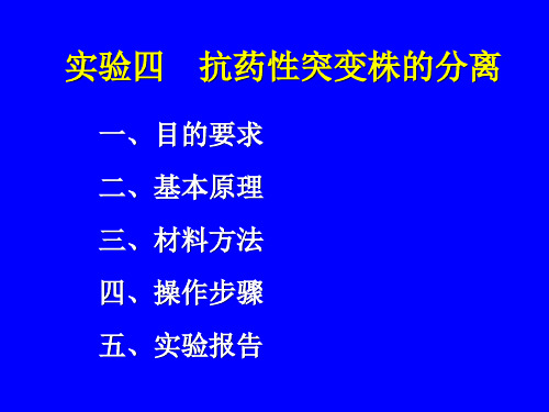 04-实验四-抗药性突变株的分离