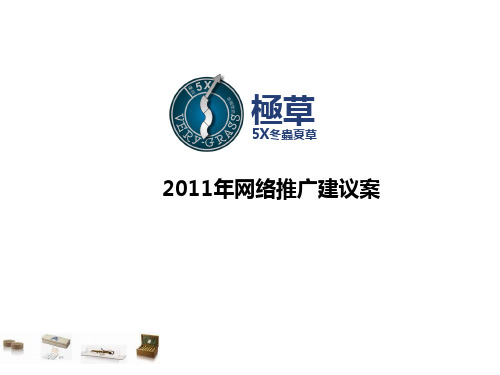 冬虫夏草经典网络营销方案