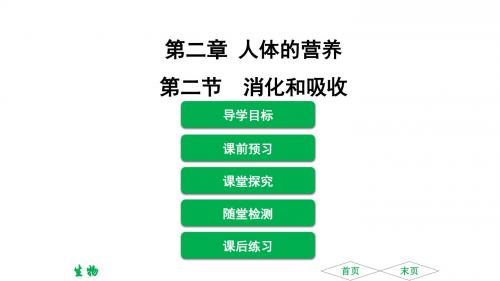 2018年春人教版生物七年级下册课件：第二章 第二节 消化和吸收(共36张PPT)