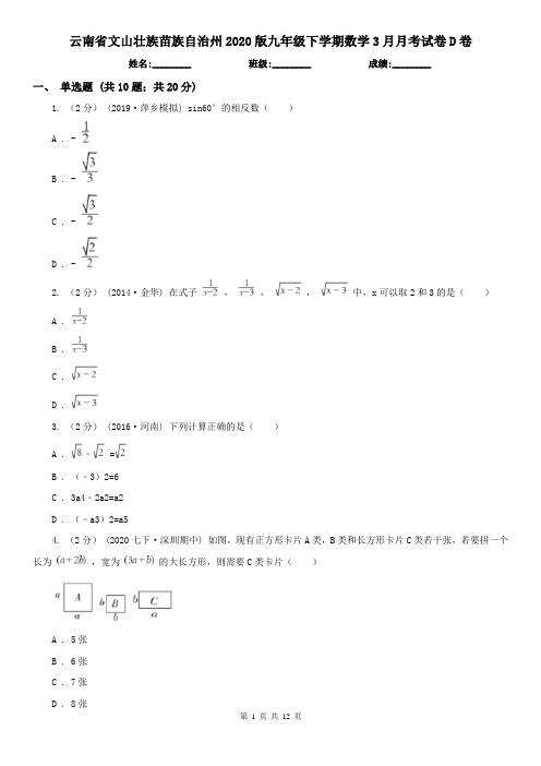 云南省文山壮族苗族自治州2020版九年级下学期数学3月月考试卷D卷