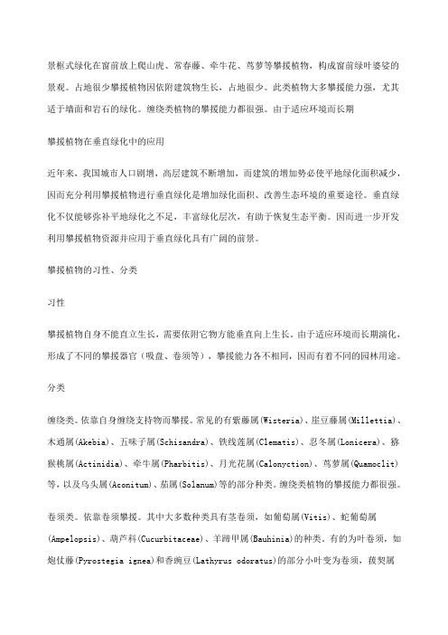 攀援植物在垂直绿化和花园中的应用