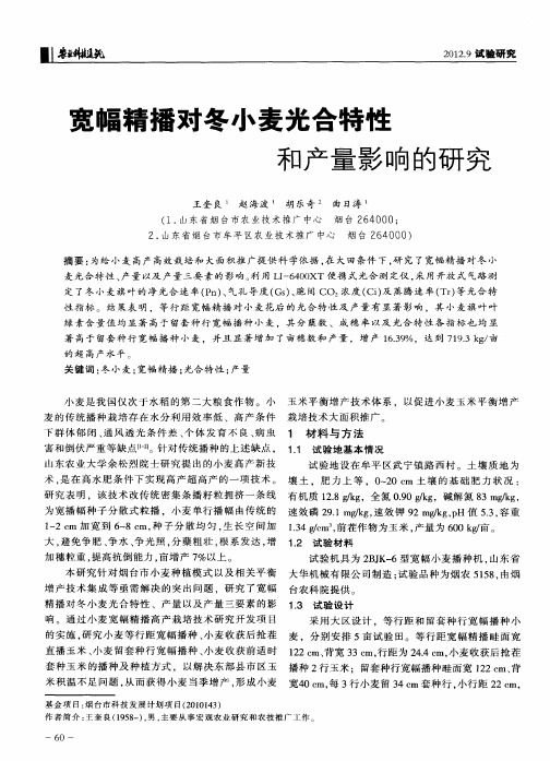 宽幅精播对冬小麦光合特性和产量影响的研究