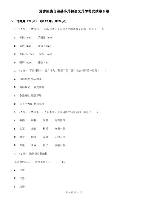 焉耆回族自治县小升初语文升学考试试卷B卷