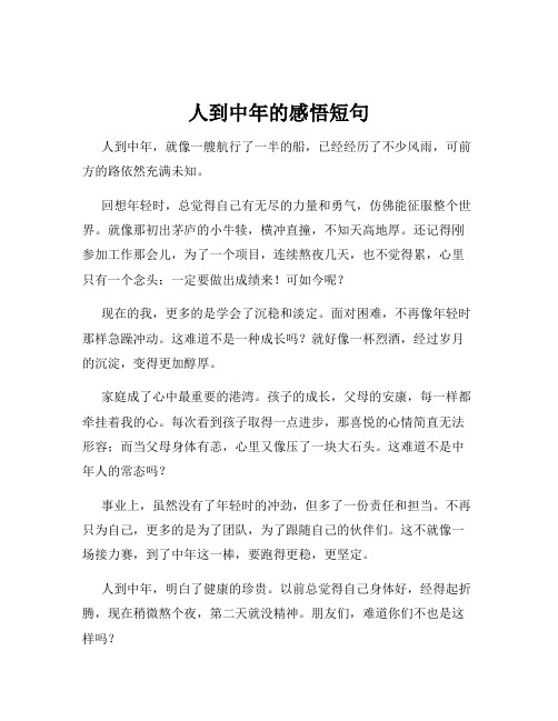 人到中年的感悟短句