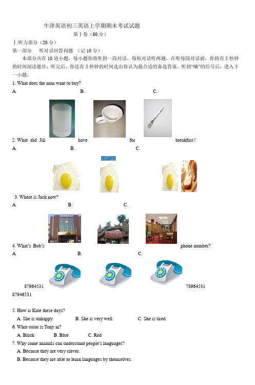 牛津英语初三英语上学期期末考试试题_7