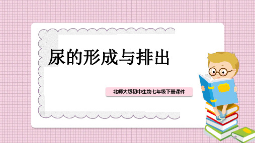 初中生物北师大版七年级下册《第2节尿的形成与排出》课件PPT模板