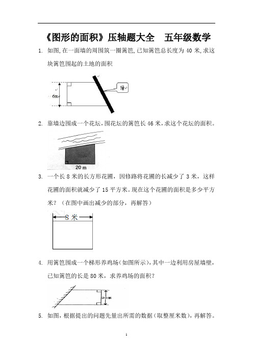 《图形的面积》压轴题大全  五年级数学 (13)