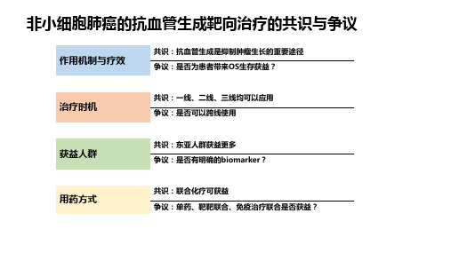 非小细胞肺癌的抗血管生成靶向治疗