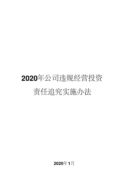 2020年公司违规经营投资责任追究实施办法