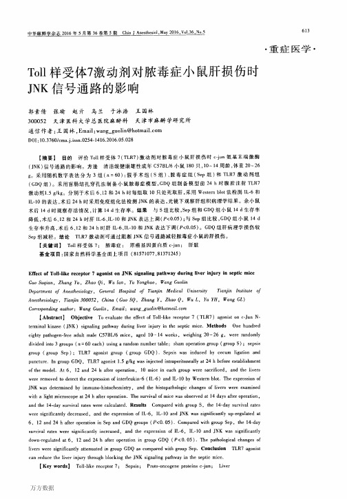 Toll样受体7激动剂对脓毒症小鼠肝损伤时JNK信号通路的影响重点