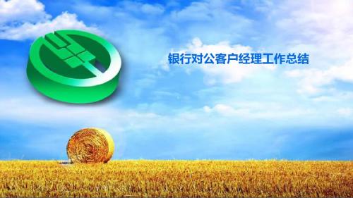银行对公客户经理工作总结