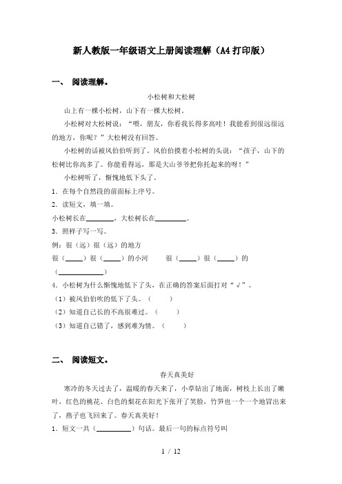 新人教版一年级语文上册阅读理解(A4打印版)