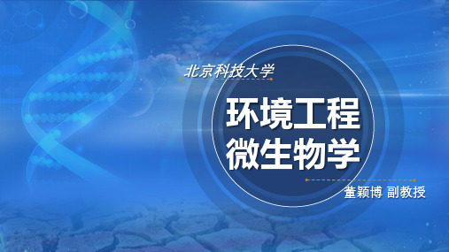 02-7.3 矿业固体废物资源化处理 课件