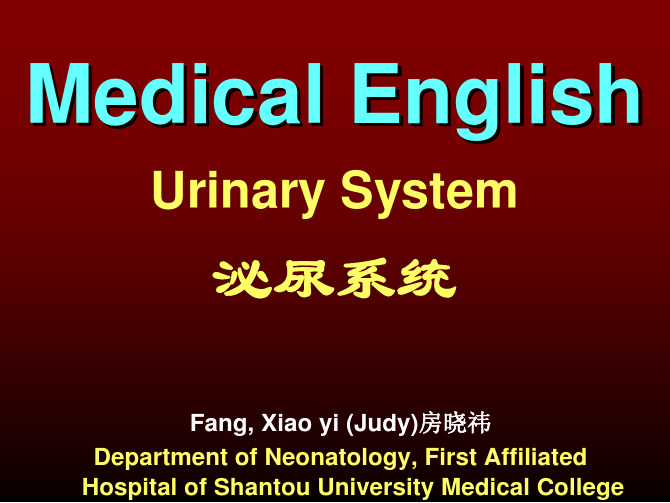 医学英语 泌尿系统