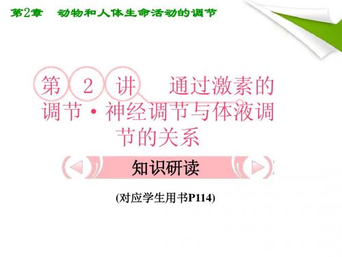 人教版教学课件2012高考生物总复习课件：22《通过激素的调节·神经调节与体液调节的关系》知识研习
