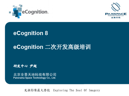 eCognition 二次开发高级培训