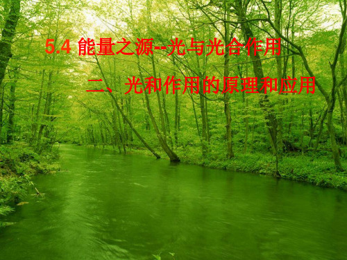 高级中学人教版高中生物必修一课件：5.4.2光合作用的原理和应用 (共34张PPT)