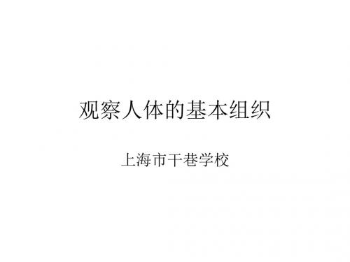 观察人体的基本组织