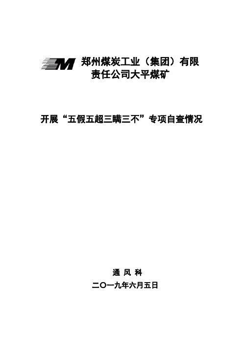 开展”五假五超三瞒三不”专项自查工作报告