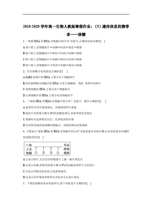 2019-2020学年高一生物人教版寒假作业：(5)遗传信息的携带者——核酸 Word版含答案