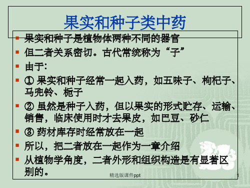 果实和种子类中药