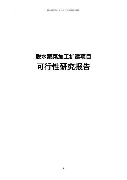 脱水蔬菜加工扩建项目可行性研究报告