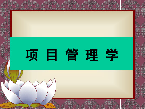 戚安邦《项目管理学(第二版)》课件简本精讲电子教案