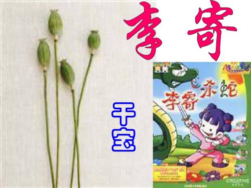 【最新审核】北师大版语文七上第六单元《李寄》ppt课件2