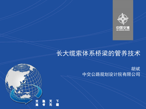 10.长大缆索体系桥梁管养技术——交公路规划设计院有限公司 高级工程师 胡斌