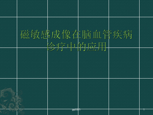 磁敏感成像在临床诊疗中的应用  ppt课件