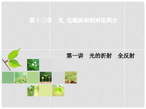 高考物理总复习 第13章 第1讲 光的折射 全反射课件 新