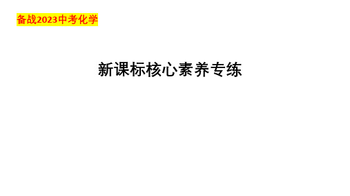 2023年中考化学新课标核心素养专练