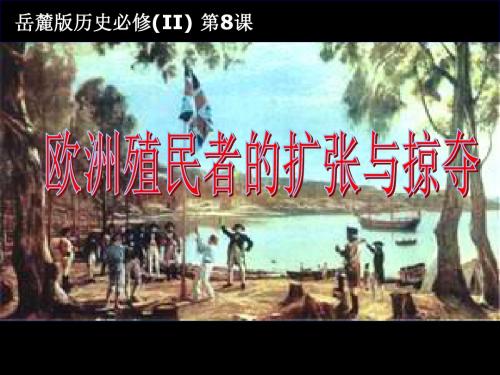 【高中历史】欧洲殖民者的扩张与掠夺ppt6