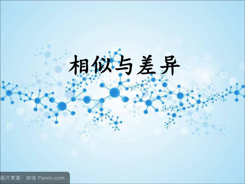 相似与差异