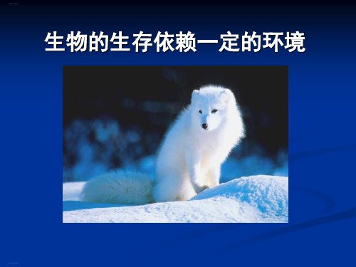 《生物的生存依赖一定的环境》PPT课件-完美版