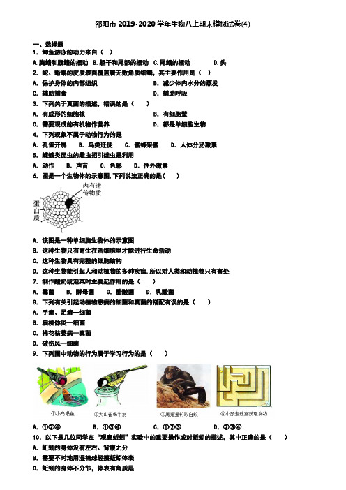 邵阳市2019-2020学年生物八上期末模拟试卷(4)