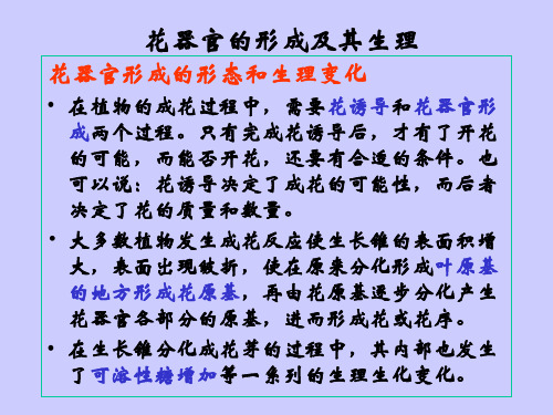 ABC植物花器官发育的模型