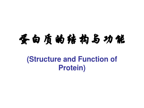 蛋白质的结构与功能