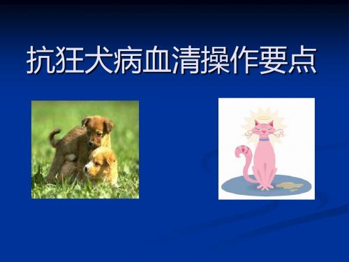 抗狂犬病血清操作要点