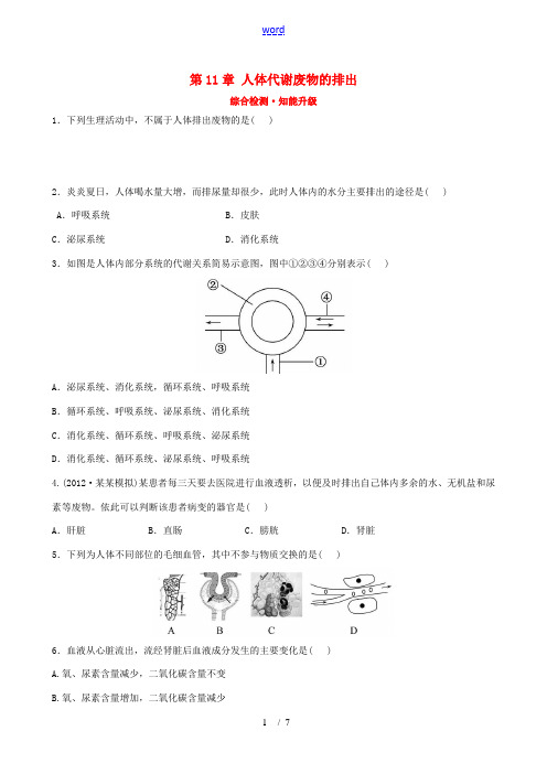 【全程复习方略】2013版中考生物 第11章 人体代谢废物的排出精练精析(含中考题示例) 北师大版