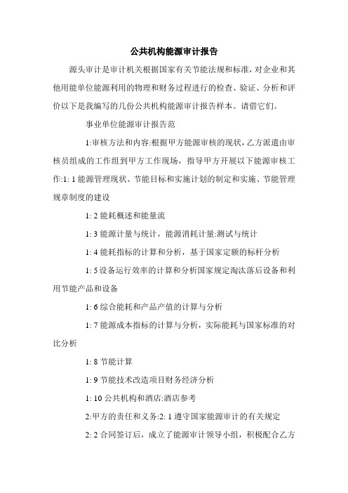 公共机构能源审计报告.doc