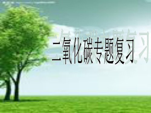 二氧化碳知识网络.ppt