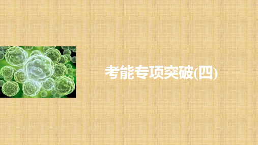 新高考生物一轮复习 考能专项突破(四)名师精编课件 北师大版
