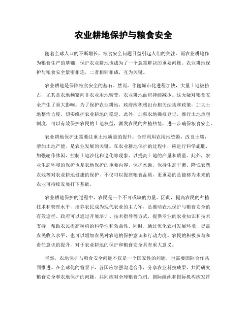农业耕地保护与粮食安全