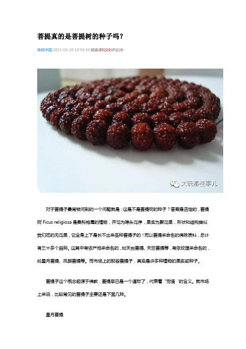 菩提真的是菩提树的种子吗