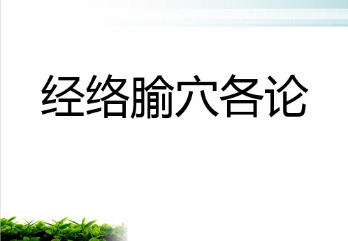 经外奇穴PPT课件