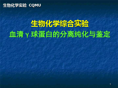 【生物化学实验】血清γ球蛋白分离纯化与鉴定PPT课件