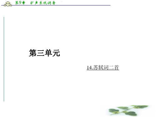 高二粤教语文选修唐诗宋词元散曲课件：14.苏轼词二首